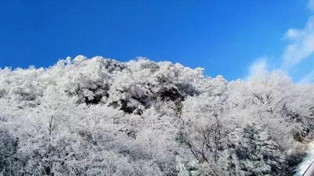 海底世界填颜色4