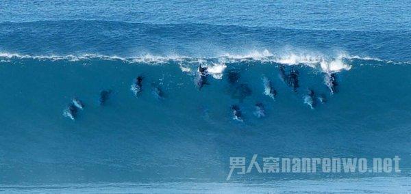 山东呐,这么多好特产,你瞒着自家人是几个意思啊?